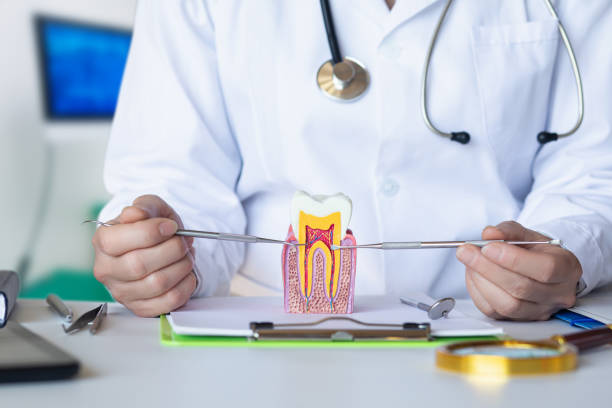 Best Weekend Emergency Dentist in Fitchburg, MA